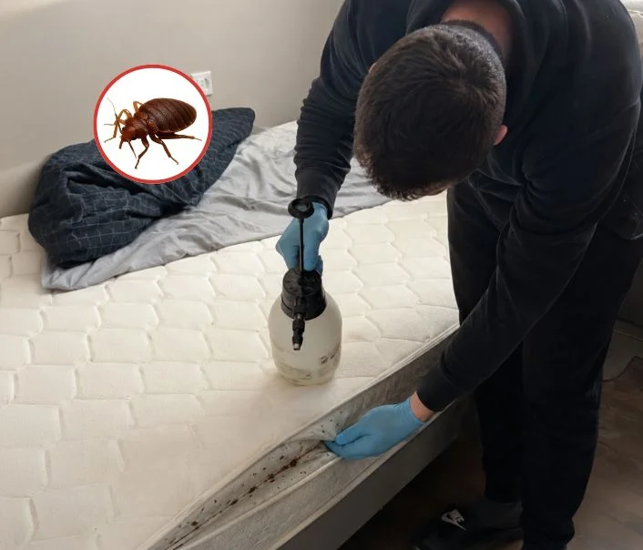 Technicien traitant un matelas contre les punaises de lit à Nanterre